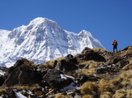 Annapurna Base Camp Trek: A Journey into the Heart of the Himalayas